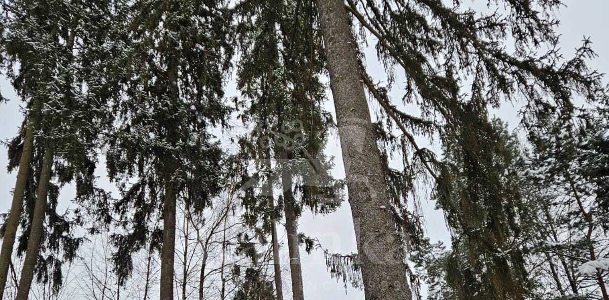 земля городской округ Одинцовский д Таганьково Николино кп, Толстопальцево фото 6