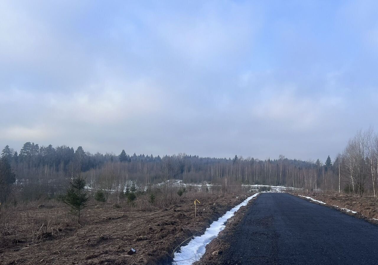 земля городской округ Пушкинский д Талицы ул Совхозная 30 км, Софрино, Ярославское шоссе фото 4