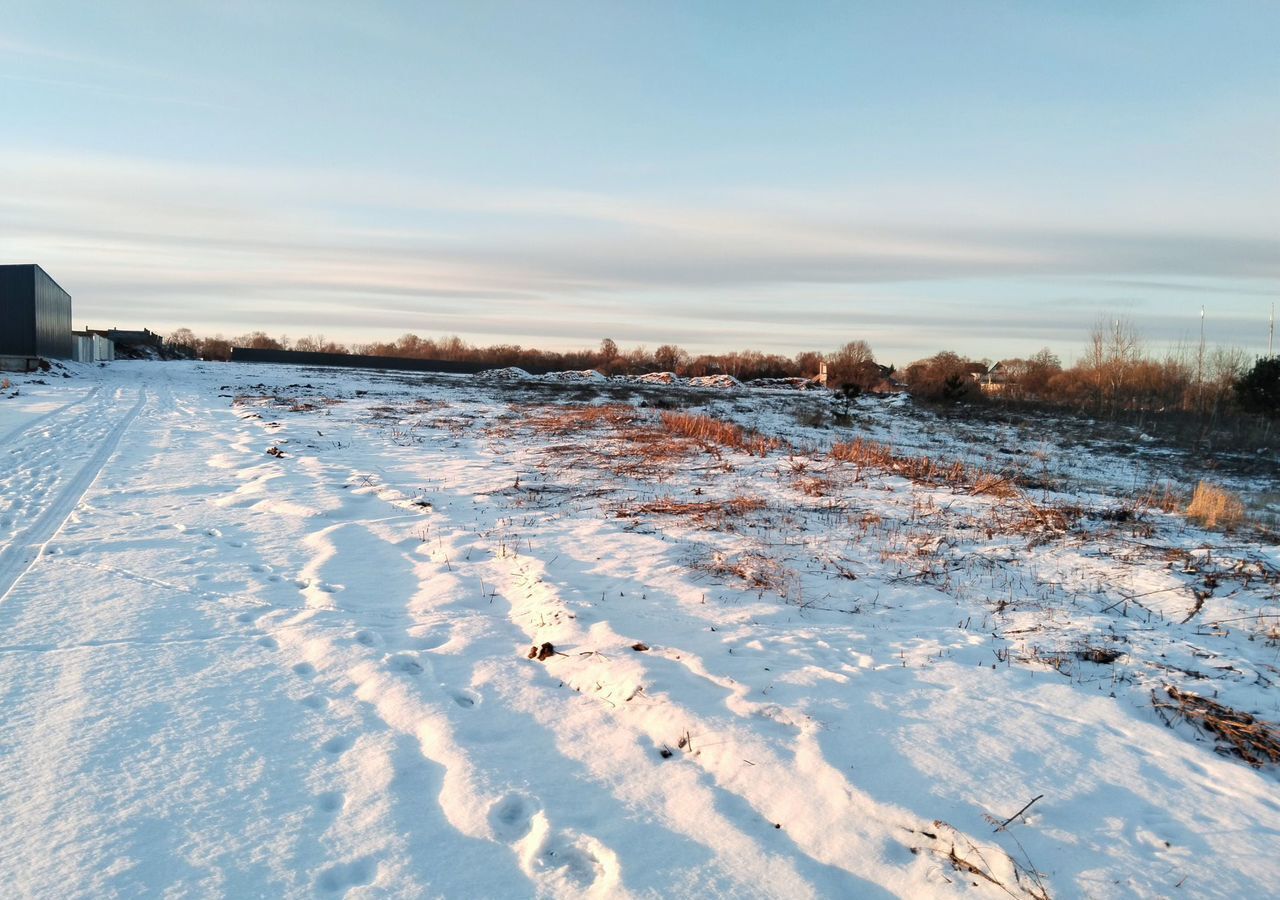 земля городской округ Домодедово 36 км, с. Растуново, Новокаширское шоссе фото 4