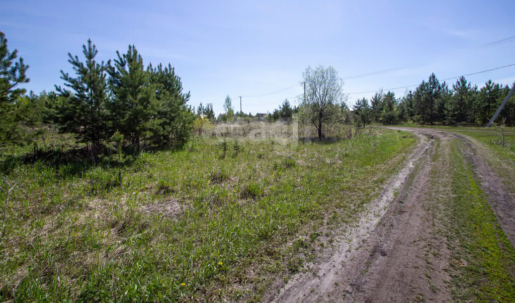 земля г Тобольск снт Колос Заводоуковск фото 2