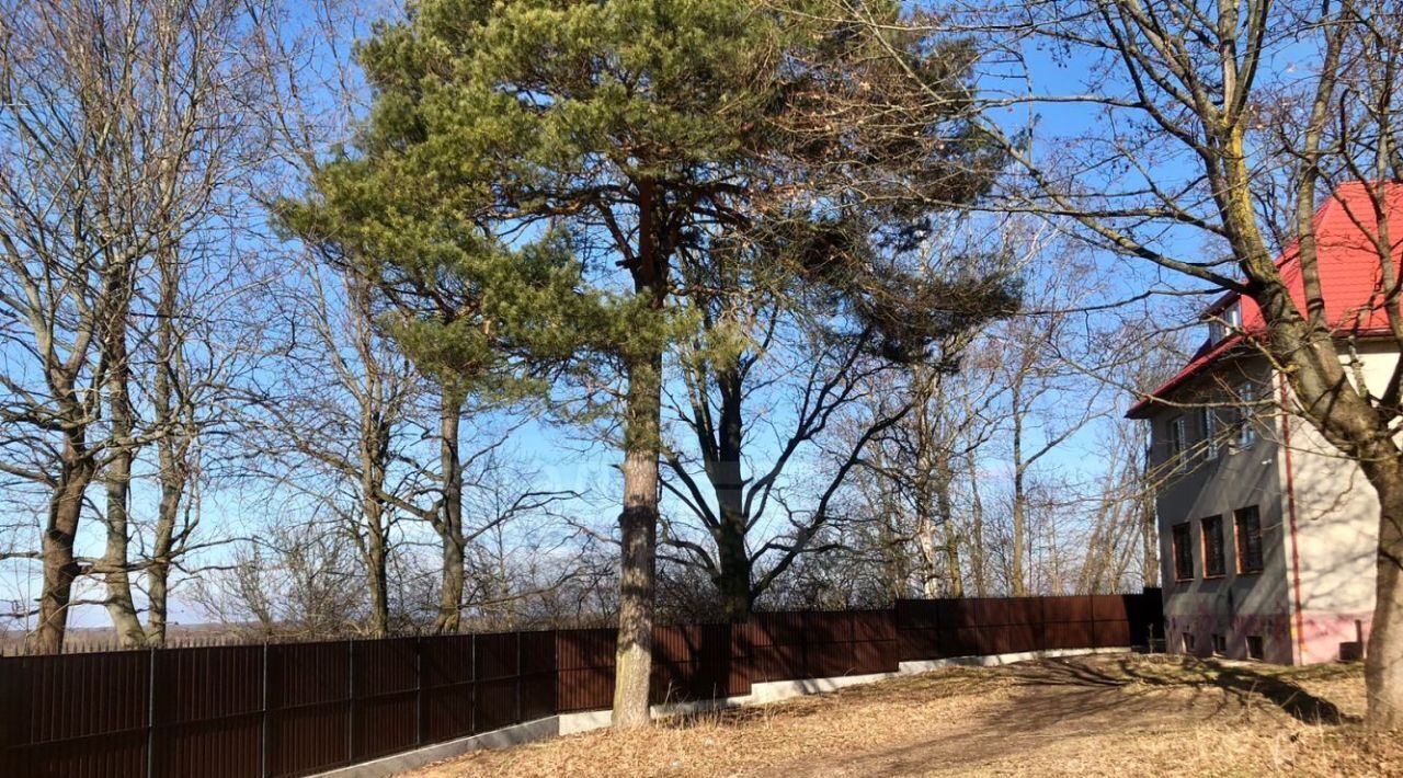 офис р-н Черняховский г Черняховск ул Чернышевского 3 фото 4