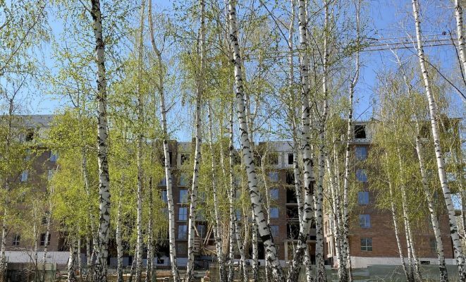 квартира г Волгоград р-н Кировский ул 64-й Армии 46 фото 7