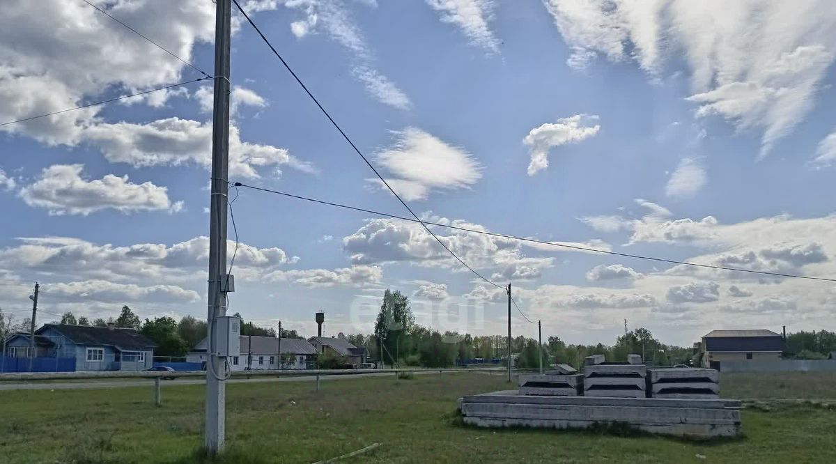 земля г Выкса с Борковка фото 3