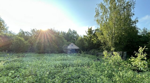 п Балакирево Слобода СПСК фото