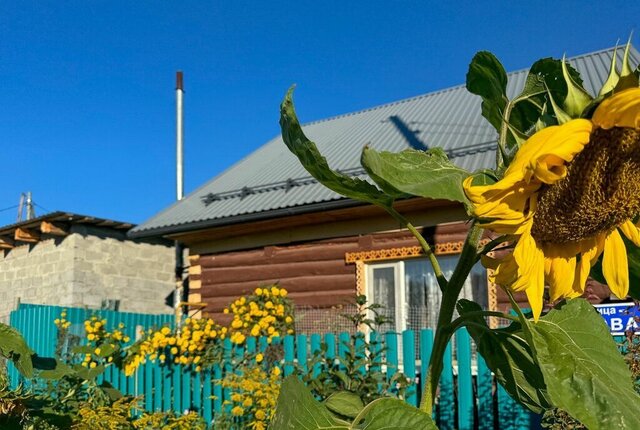 п Прииртышский Прииртышское сельское поселение фото