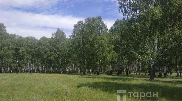 ул Зеленая 4 Камышевское с/пос фото