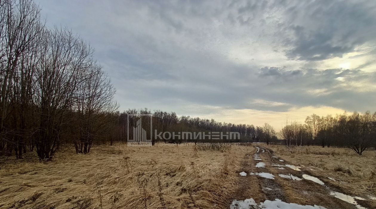 земля г Владимир с Мосино ул Мосинская р-н Ленинский фото 7