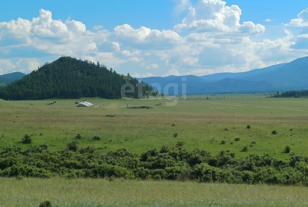 земля р-н Онгудайский с Ело фото 2