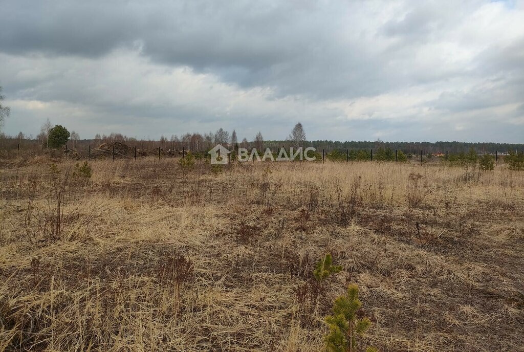 земля городской округ Богородский г Ногинск ул Ново-Богородская фото 2