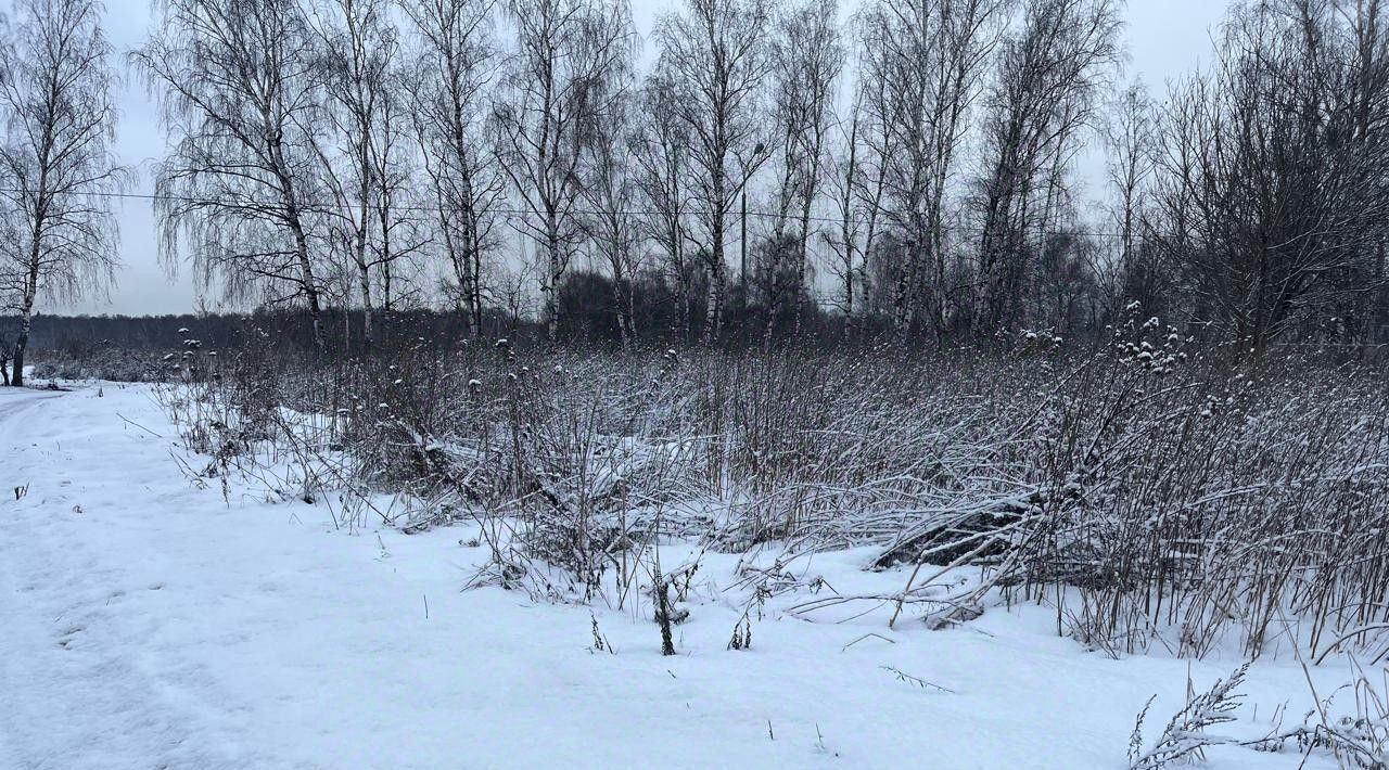 земля г Домодедово д Тургенево Подольск фото 4