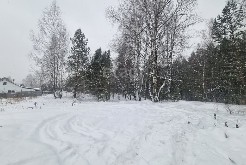 земля г Кемерово СНТ Труженик фото 2