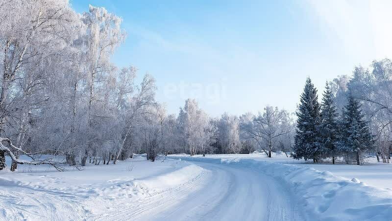 земля г Кемерово Р-255 Сибирь, 295-й километр фото 2