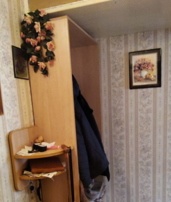 квартира г Нижний Новгород Парк культуры ул Веденяпина 20 фото 7