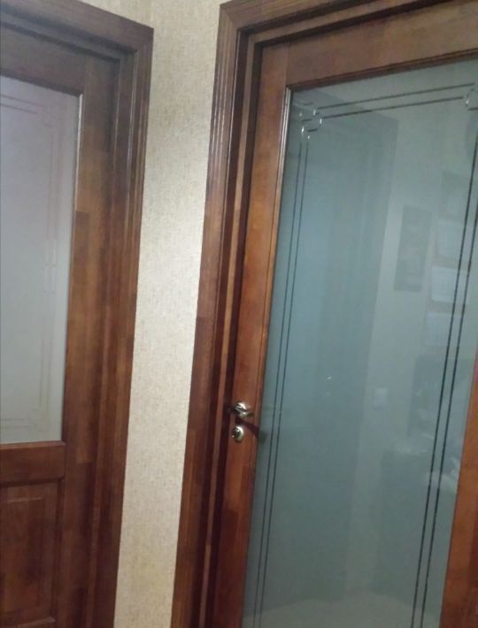квартира г Санкт-Петербург п Парголово ул Михаила Дудина 25к/1 метро Парнас фото 7