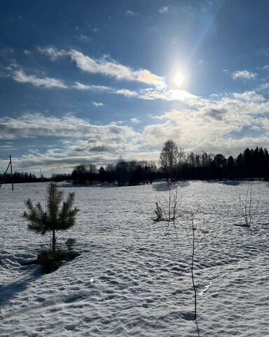 земля д Бобки Пермь фото