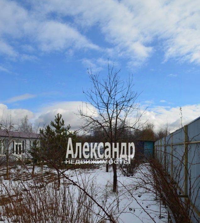 дом г Сестрорецк ул Каугиевская 55 Беговая фото 12