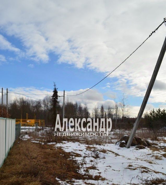 дом г Сестрорецк ул Каугиевская 55 Беговая фото 15