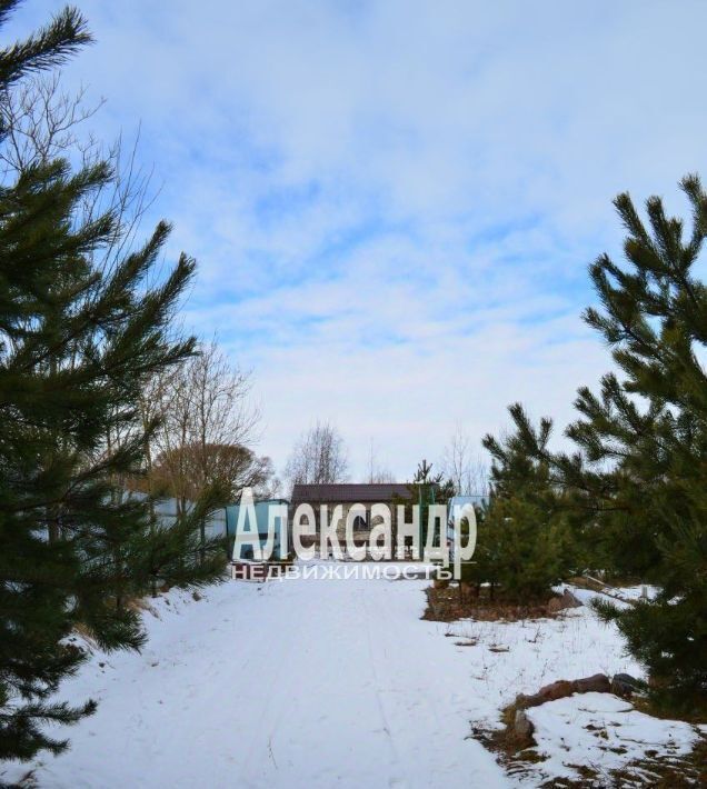 дом г Сестрорецк ул Каугиевская 55 Беговая фото 16