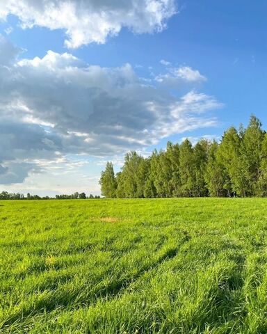 земля п Студенческий Белоярский муниципальный округ фото