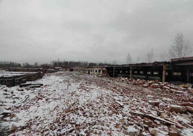 земля городской округ Истра п Курсаково 53 км, Новопетровское, Волоколамское шоссе фото