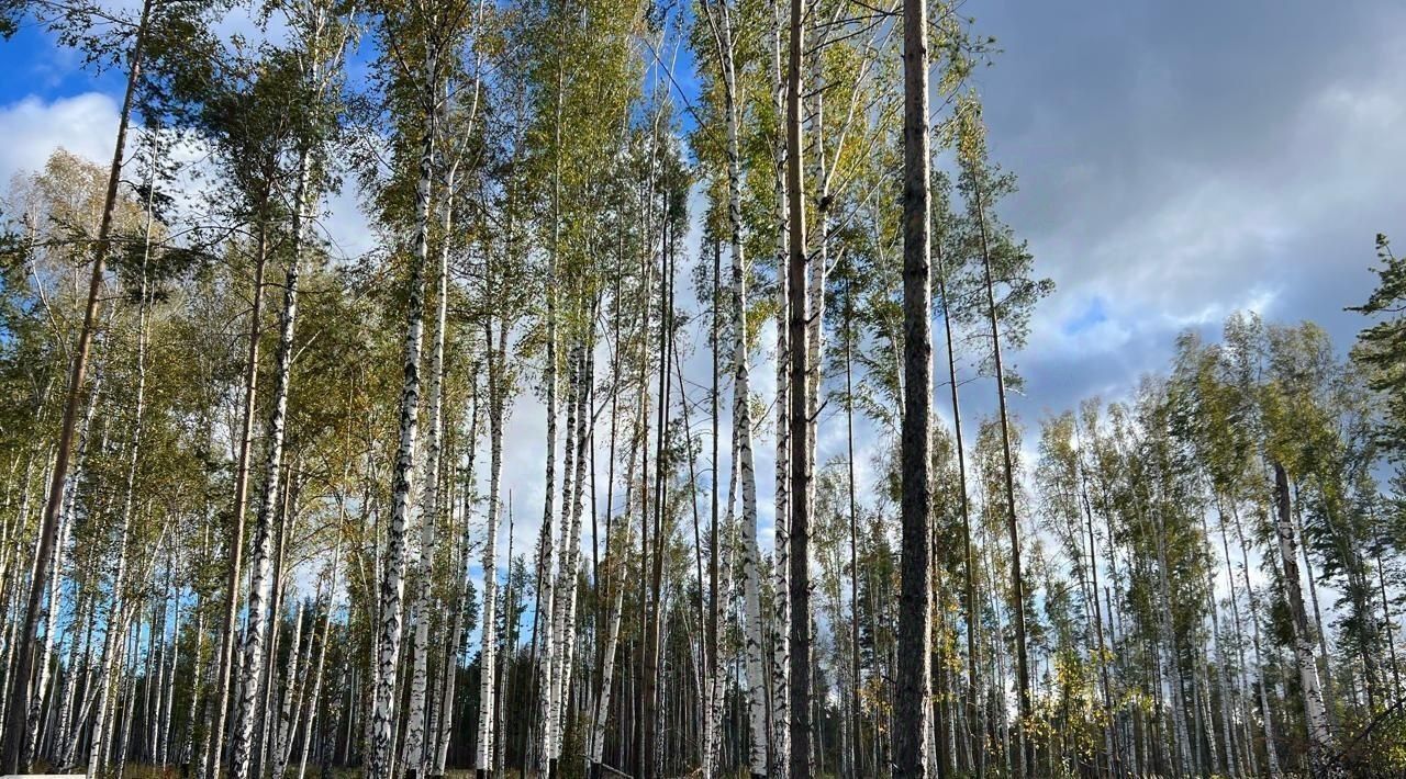 земля г Екатеринбург р-н Чкаловский Седьмая Дача кп фото 3