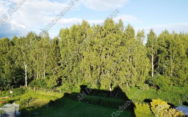 Лесной Городок, садовое товарищество Конник-2, 9 фото