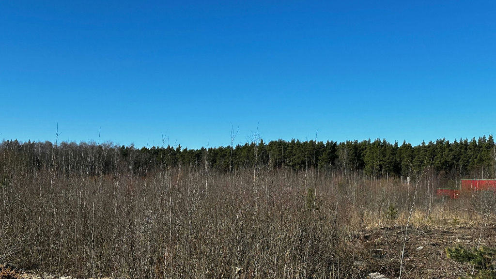 земля г Раменское фото 2
