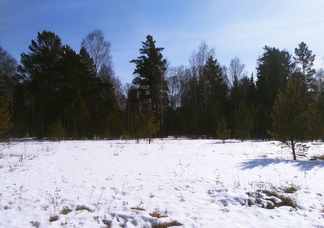 земля Шуваевский сельсовет, СНТ Шуваево, Красноярск фото