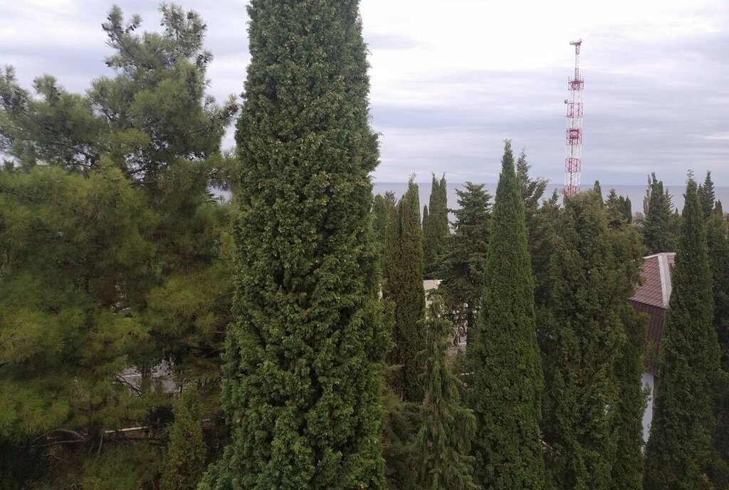 квартира г Алушта пгт Партенит ул Фрунзенское шоссе 10 фото 15