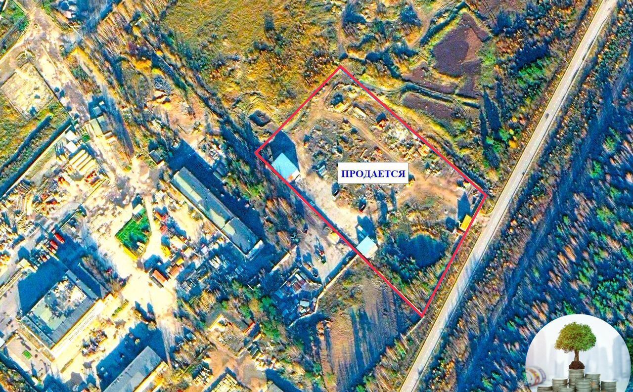 земля г Сосновый Бор Сосновоборский г. о. фото 2