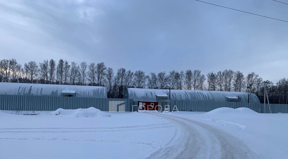 производственные, складские г Новосибирск снт Золотая осень Площадь Маркса, ул. Земляничная, 31 фото 1