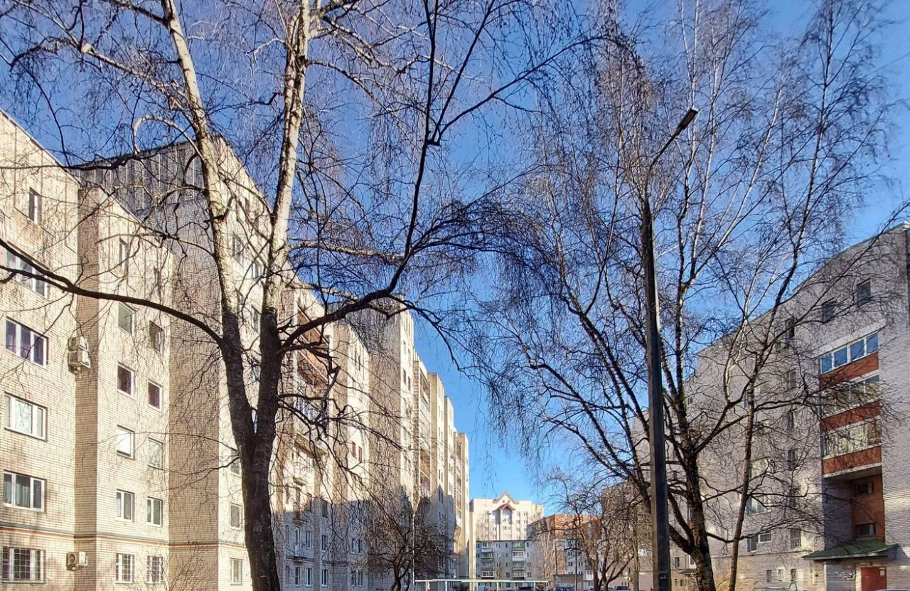 квартира г Псков ул Красноармейская 31 фото 24