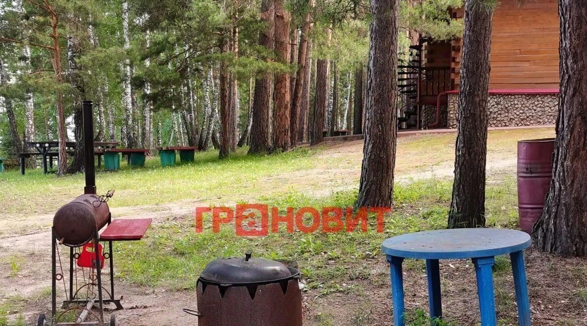 свободного назначения г Новосибирск Речной вокзал снт Облепиха ул Обская 11 фото 29