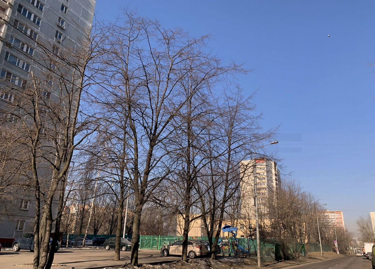 квартира г Москва метро Кузьминки ЮЗАО Волжский Бульвар квартал 114А, к 9 фото 19