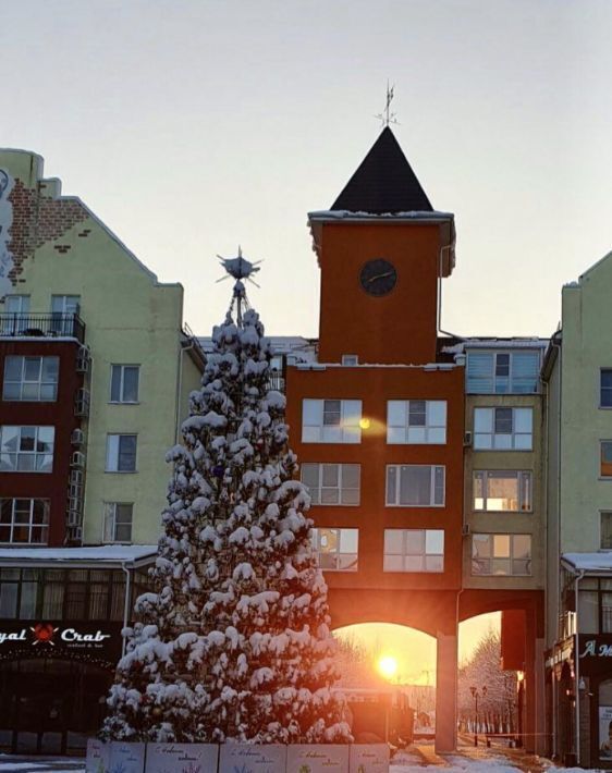 квартира г Краснодар р-н Прикубанский ул Вагнера 17к/2 фото 12