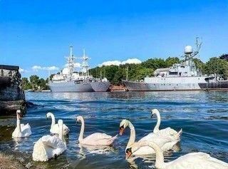квартира р-н Балтийский г Балтийск фото 12