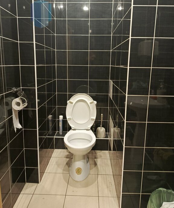 офис г Нижний Новгород р-н Канавинский Стрелка ул Бетанкура 29 фото 4