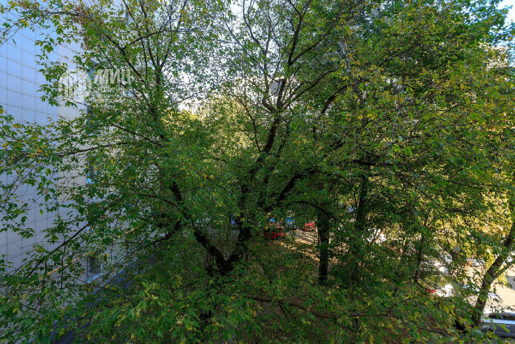 квартира г Москва метро Водный стадион б-р Кронштадтский 13/2к 1 фото 12