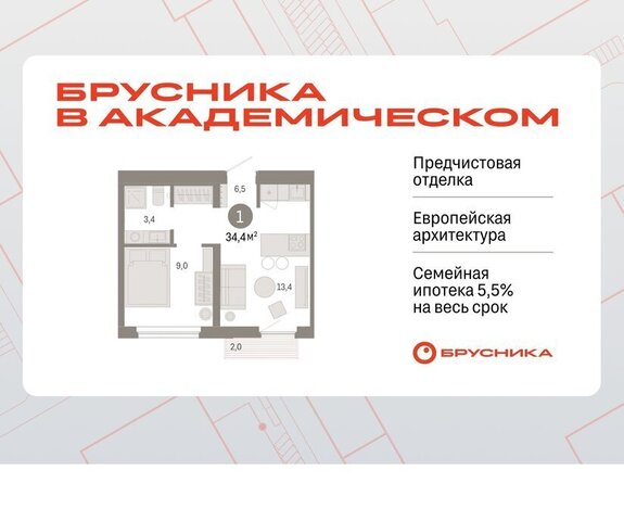 Чкаловская Академический фото