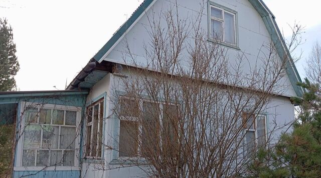 11, Звезда СНТ фото