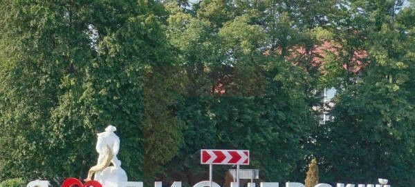 земля г Пионерский снт Ягодка фото 2