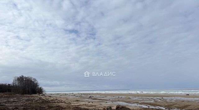 д Ивановское Огарковский сельский округ, 61 фото д Ивановское Огарковский сельский округ, 61 фото