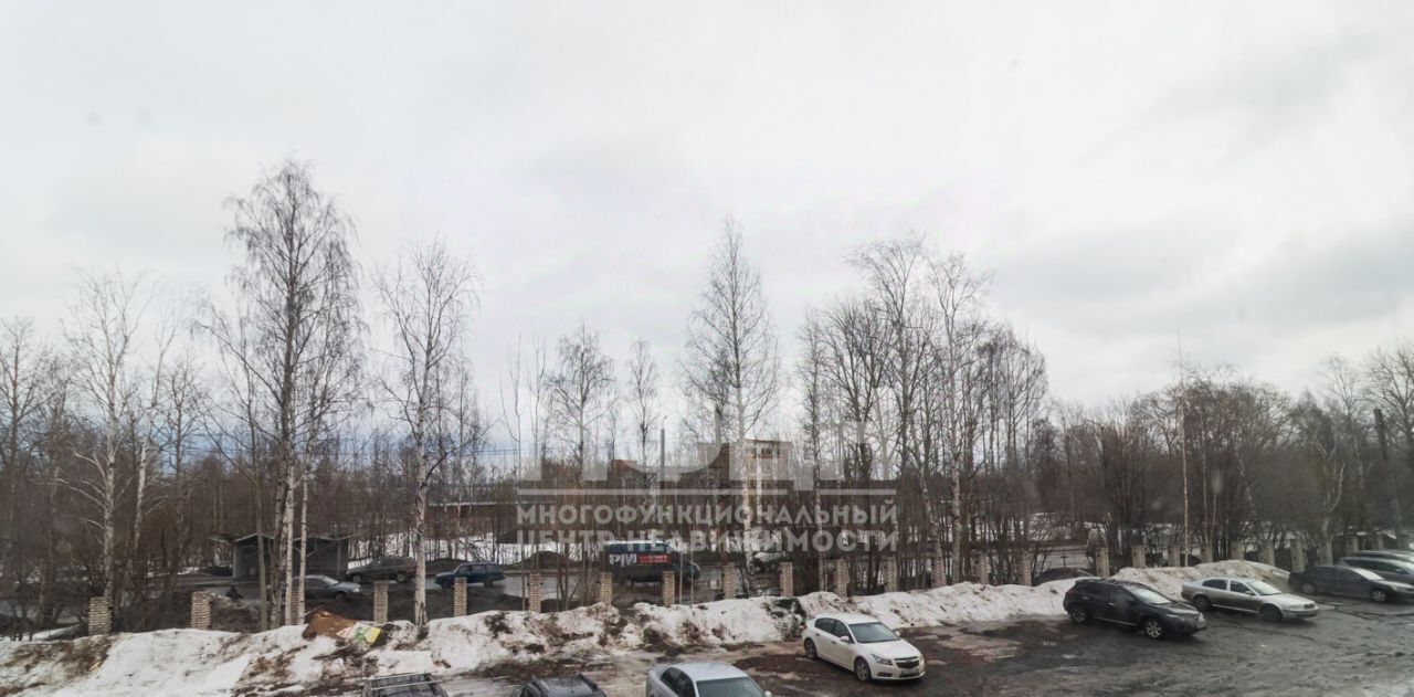 свободного назначения г Петрозаводск ул Ригачина 64с/1 фото 37