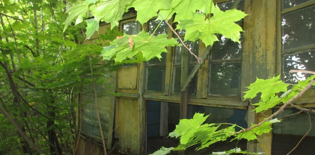 земля г Самара р-н Кировский Безымянка 10-я линия фото 14