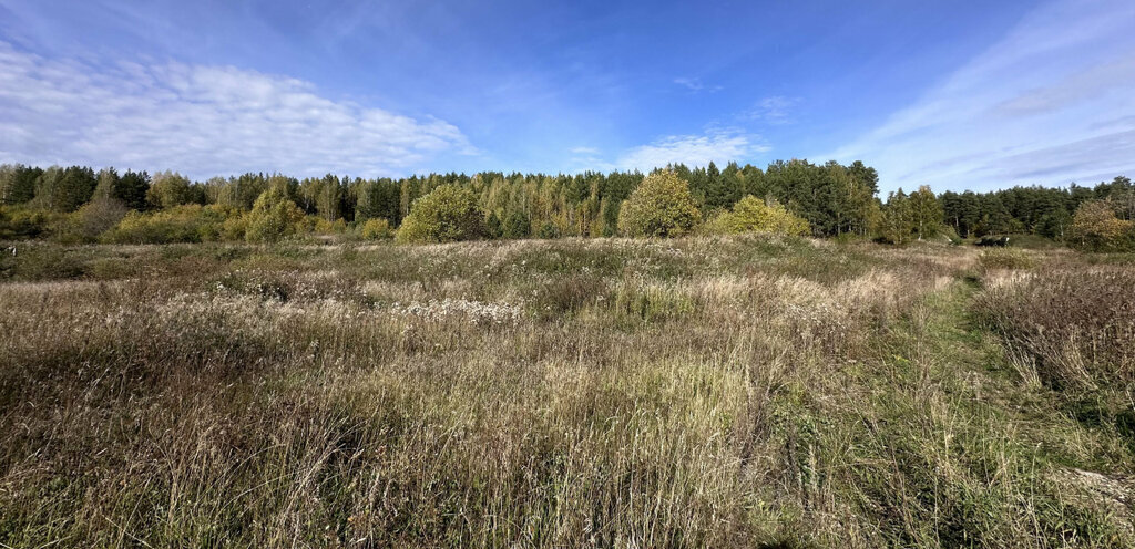 земля г Дегтярск фото 6