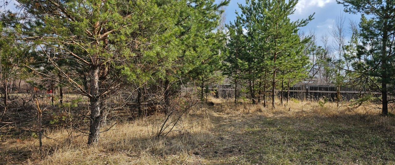 земля г Воронеж р-н Железнодорожный снт БОЛЬШАЯ СЕМЬЯ ул Луговая фото 1