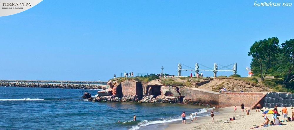 дом р-н Балтийский г Балтийск ул Л.Некрасова 3 фото 4