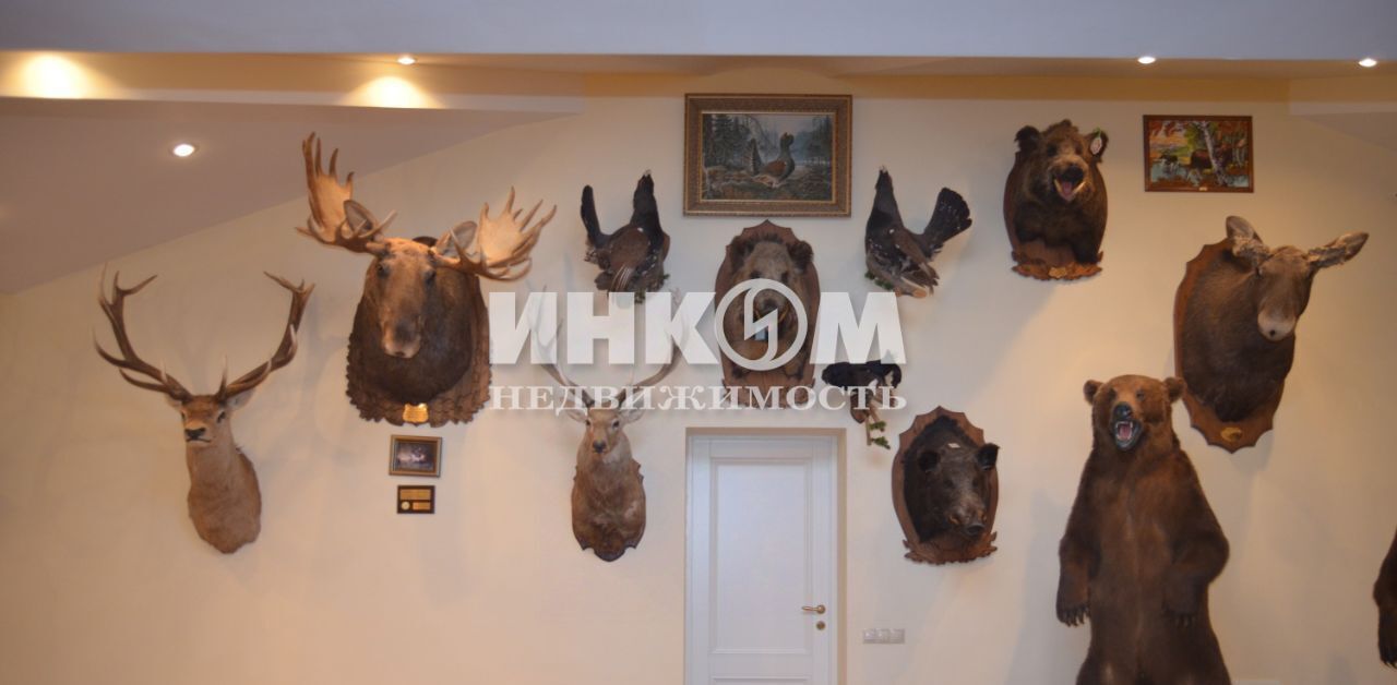 дом г Домодедово д Косино 8А фото 21