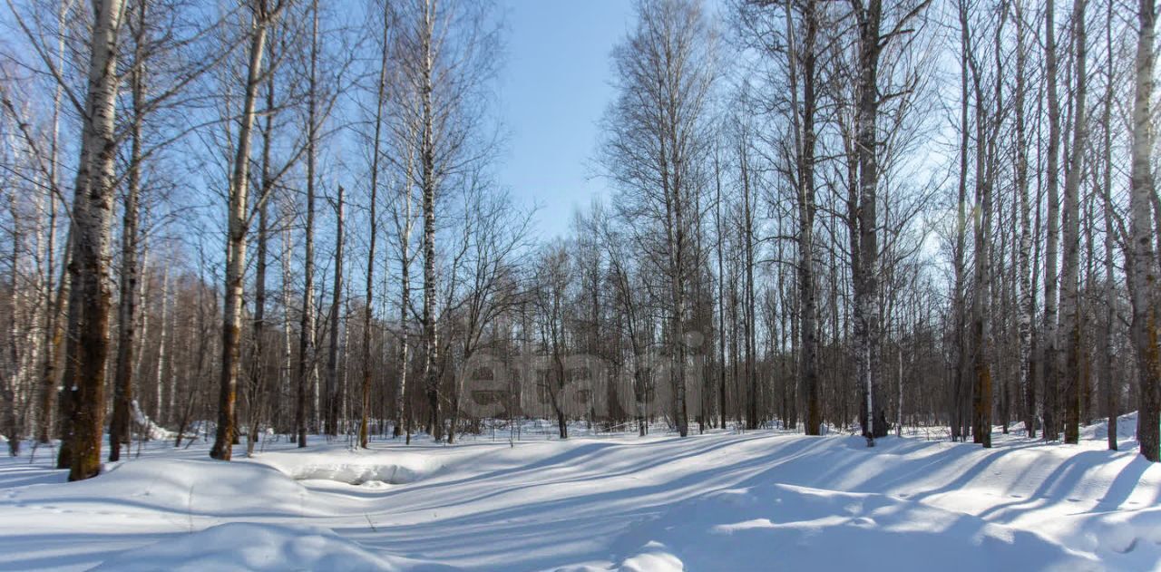 земля г Тобольск р-н мкр Усадьба фото 8