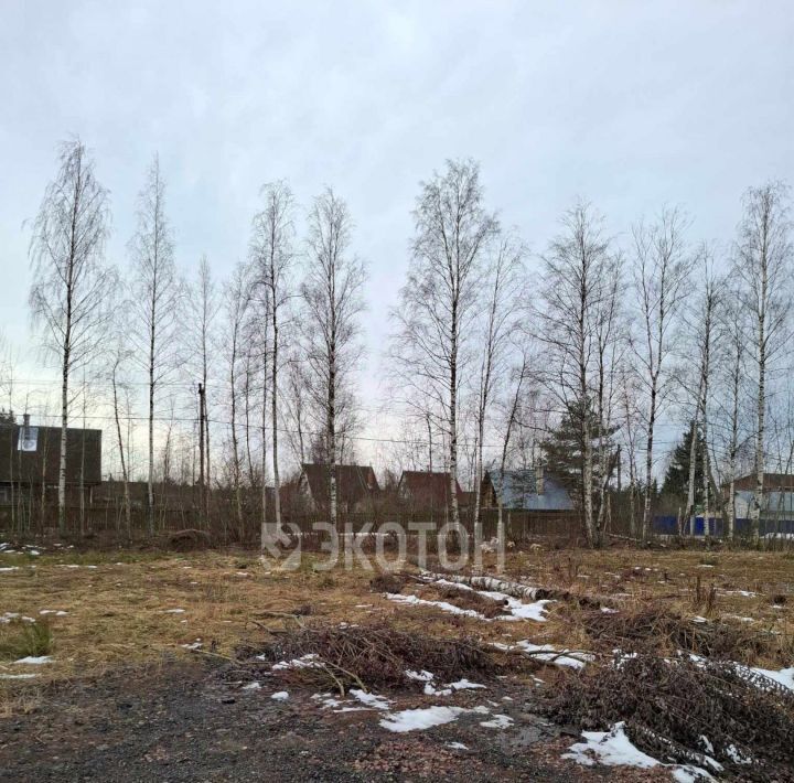 земля г Сосновый Бор снт Приозерное 10 фото 13